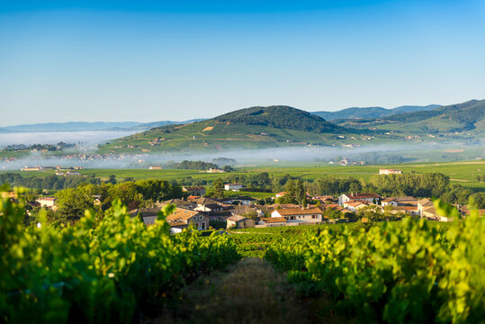 Le Mont Brouilly, et les villages de Cerci&eacute; et Morgon, Beaujolais, France