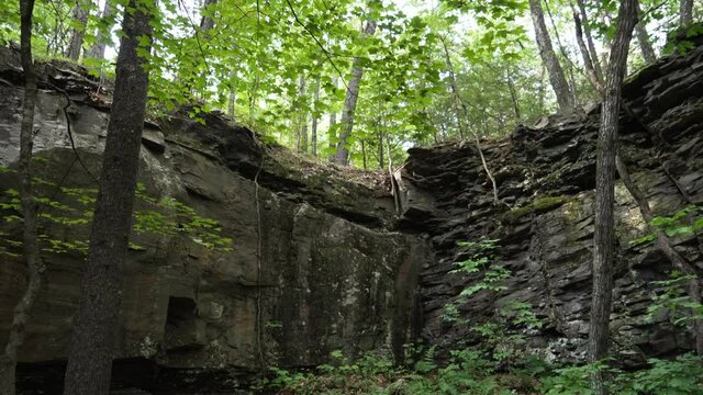 Black sedimentary rock wall strata layers background in a humid forest