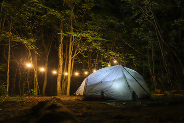 tent in the forest