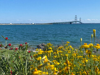 bridge over the river