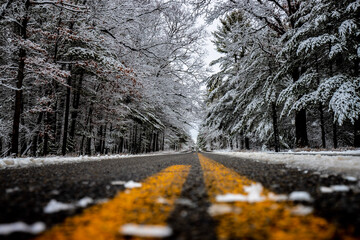 road in winter forest