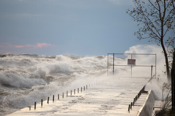 Obraz premium fence in the snow