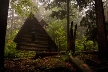 Fototapeta na wymiar cabin in the forest