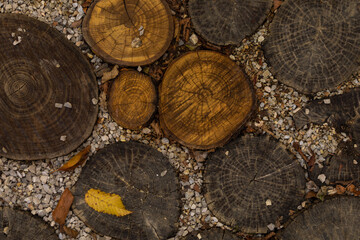 log cabin background