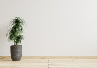 Empty room white walls with beautiful plants sideways on the floor.3d rendering.