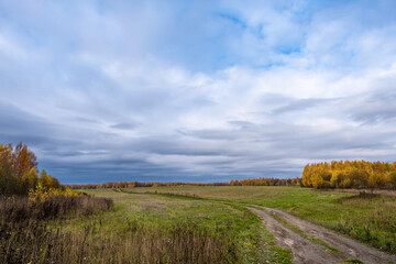 A long dirt road in a large field on a cloudy autumn day.