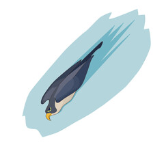 Flight of the hawk. Vector illustration, symbol.
