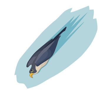 Flight of the hawk. Vector illustration, symbol.