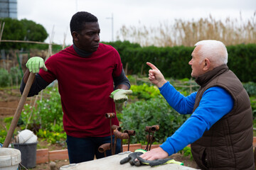 Gray haired elderly farmer scolding African American because of poorly done work in kitchen garden ..