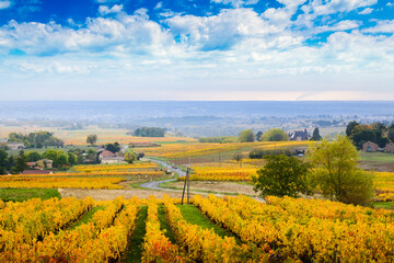 Landscape and colors of Beaujolais at fall