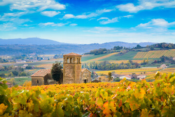 Landscape and colors of Beaujolais at fall