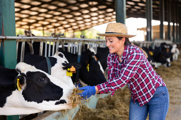 Portrait of active female employee working in cowshed on farm