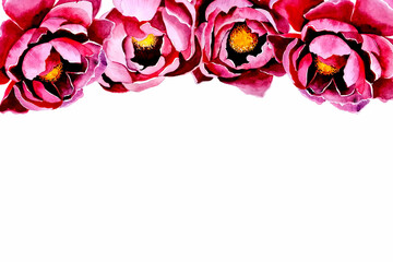 Pink peonies. Simple watercolor. For wedding decor.