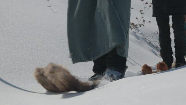 Men walking in ancient fur ski dressed in traditional deel on snow mountain. Hemu Village, Xinjiang, China. Close up slow motion on bright winter day.