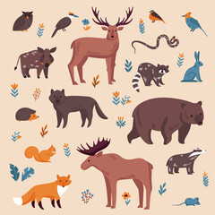 Forest Animals Color Set