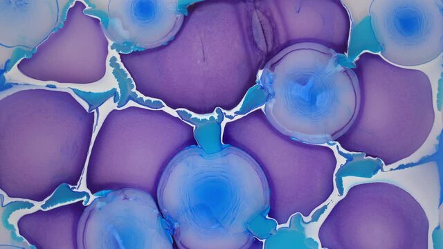 Incredible ink-in-liquid effect. Magenta and Cyan. Fascinating movement. Fabulous resembling flowers from an avatar from another planet. Ink in liquid. Abstract liquid background.