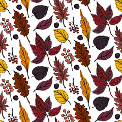 Autumn seasonals seamless pattern with autumn leaves and floral elements in fall colors.Vector autumn illustration.