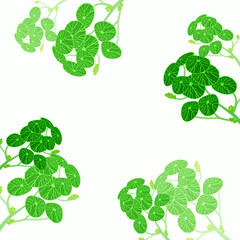 green leaves spring with white empty space  design background