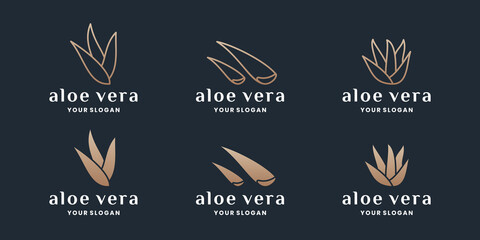 set of aloe vera collections logo design with golden color