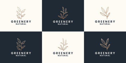 set of minimalist greenery logo design, botany, botanical, plant