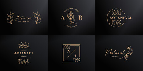 set of luxury hand drawn logo design for natural branding,