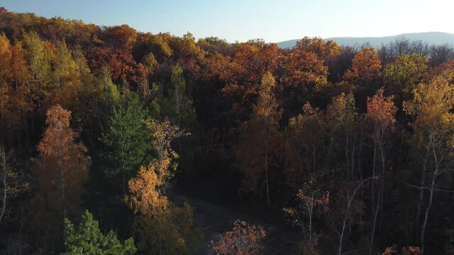 Aerial view of the Volga river and an old abandoned quarry in the Zhiguli mountains.