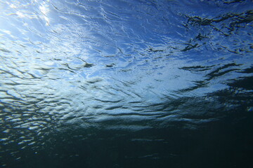 wave viewed from underwater