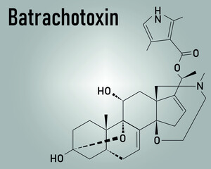 Batrachotoxin BTX neurotoxin molecule. Found in number of animals, including poison dart frogs. Skeletal formula. Vector illustration