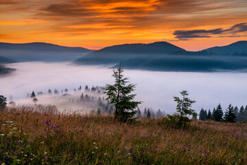 Misty dawn in the mountains. Beautiful Autumn Landscape