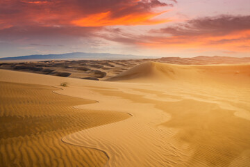 Plakat Sunset over the sand dunes in the desert. Arid landscape of the Sahara desert.