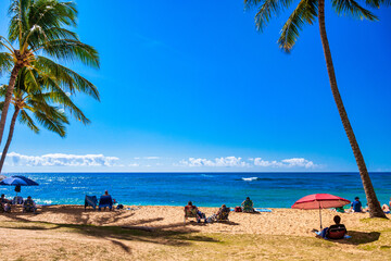 beach with palm trees and sky