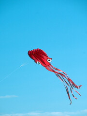 Obraz na płótnie Canvas red squid kite summer sky 