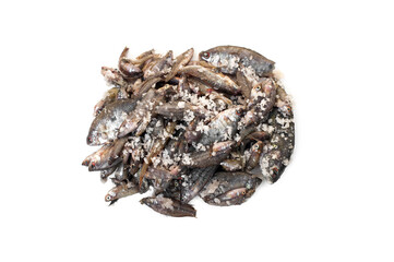 Salted fish isolated on white background (Pla Ra).