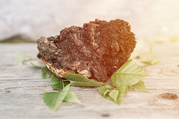 gathered or foraged chaga mushroom wild birch tree parasitic fungus or fungi it is used in alternative medicine for brewing healing tea for treatment covid-19. uncleaned chaga on wooden table. flare