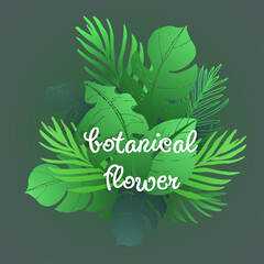 Botanical hand drawn nature background template