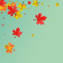 Autumnal Leaves Background Green Vector. Floral November Card. Colorful Canadian Plant. Ground Foliage Texture.