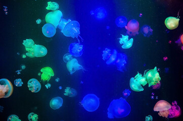 海に揺られて