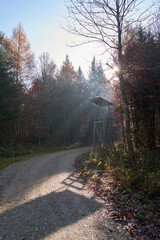 Fototapeta premium Jägerstand im Sonnenschein