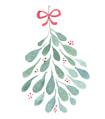 Watercolor mistletoe Christmas branch. Vector