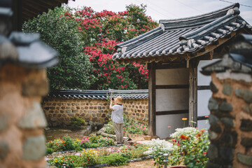 Fototapeta na wymiar nature, old houses, south korea palace, flowers