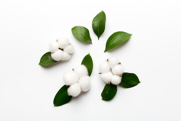 Autumn Floral Flat lay background composition. Dried white fluffy cotton flower branchwith green...