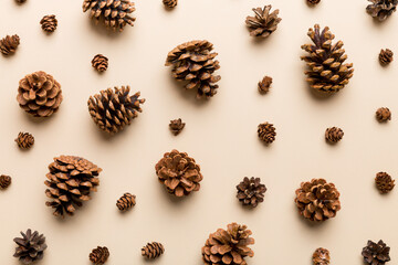 pine cones on colored table. natural holiday background with pinecones grouped together. Flat lay. Winter concept