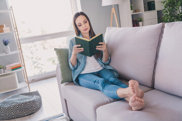 Portrait of attractive focused woman lying on divan reading novel resting pastime at home indoors