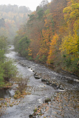 River Allen at Whitfield , Northumberland UK in autumn
