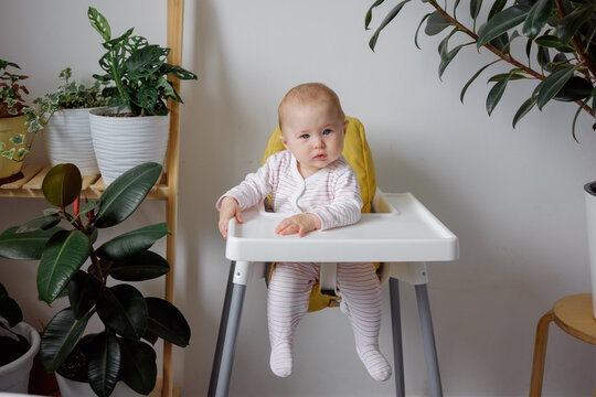 A baby sitting in highchair next to home plants. Learning world. Home gardening and infant.