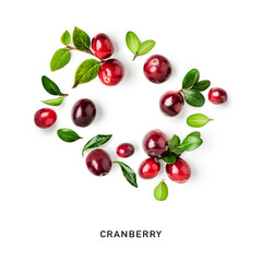 Cranberry creative layout
