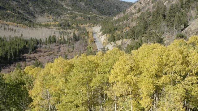 Aerial Drone Footage of Fall Colors and Aspen Trees on Cottonwood Pass in the Rocky Mountains of Colorado on the Continental Divide.
