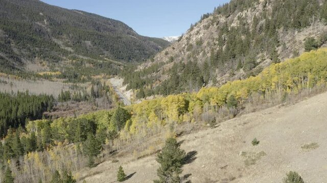  Aerial Drone Footage of Fall Colors and Aspen Trees on Cottonwood Pass in the Rocky Mountains of Colorado on the Continental Divide. 