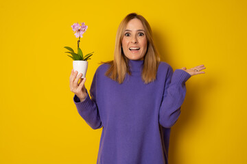 Amazed woman holding an orchid flower in a pot isolated on yellow background