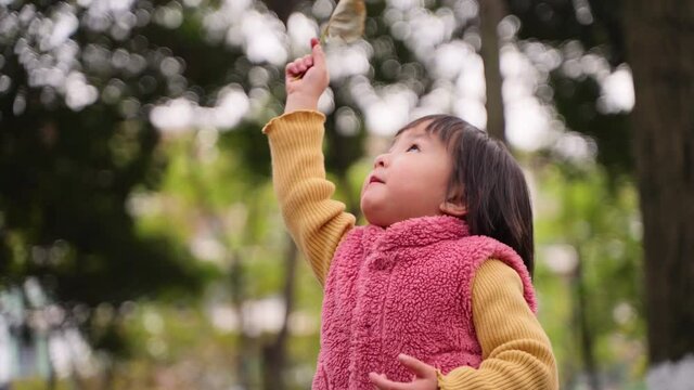 2 years old baby girl holding autumn leaf portrait in the park lovely asian kid outdoor 